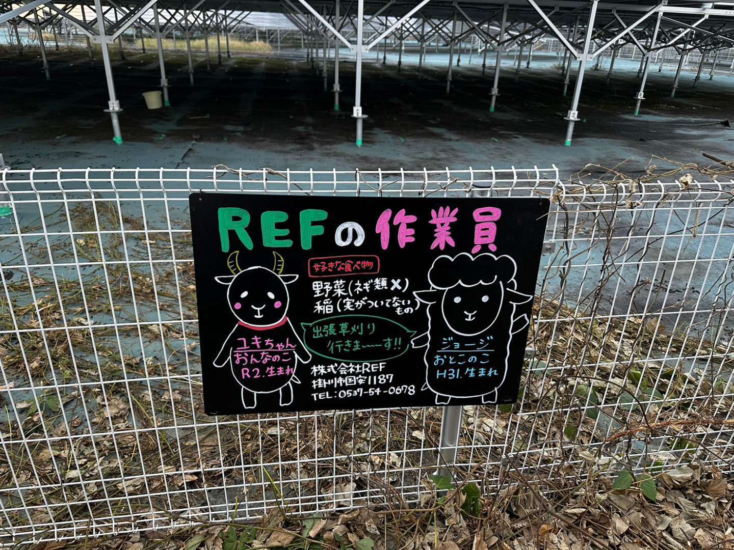 農場化してきているREF