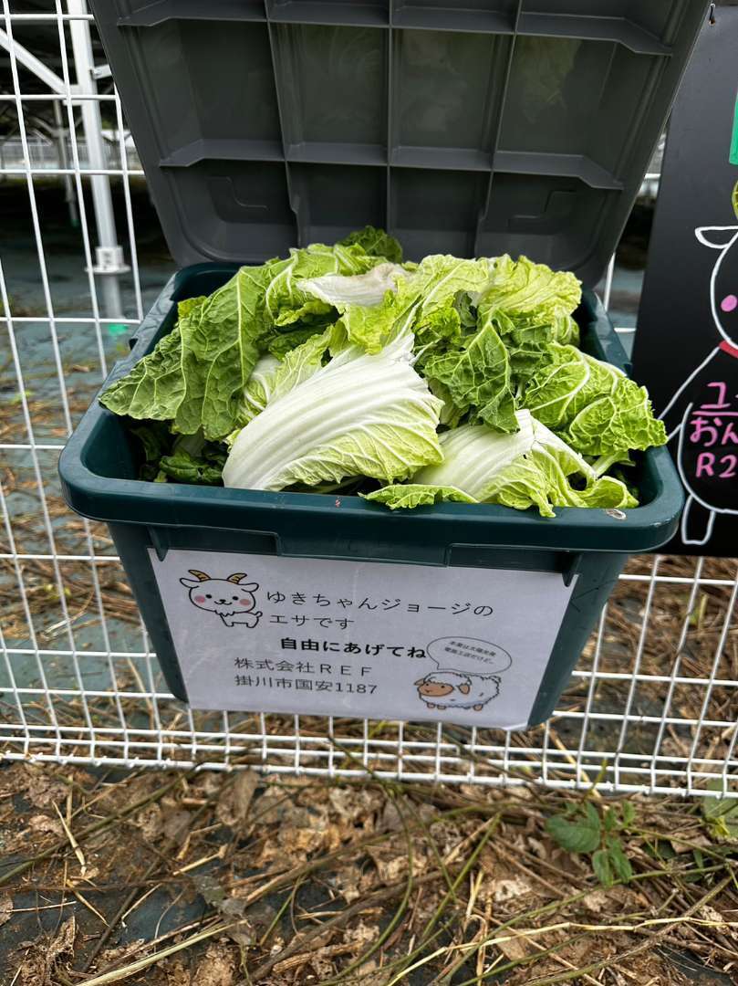 セルフ餌箱用意したった(笑)