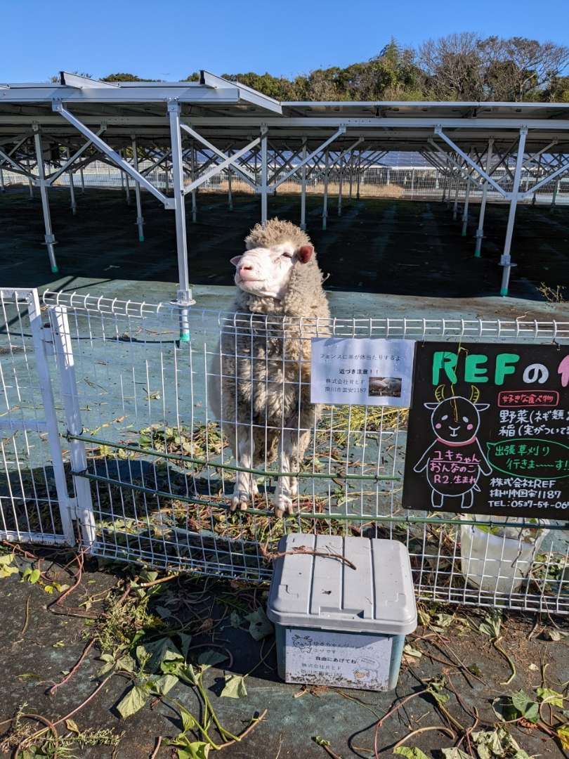 動物の皆さんのおかげで売名進んでますｗｗ