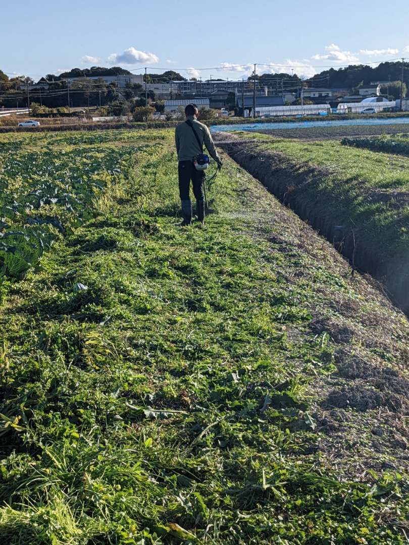 草枯渇中の為、お客様の土地の草刈りをして草を集めています(笑)