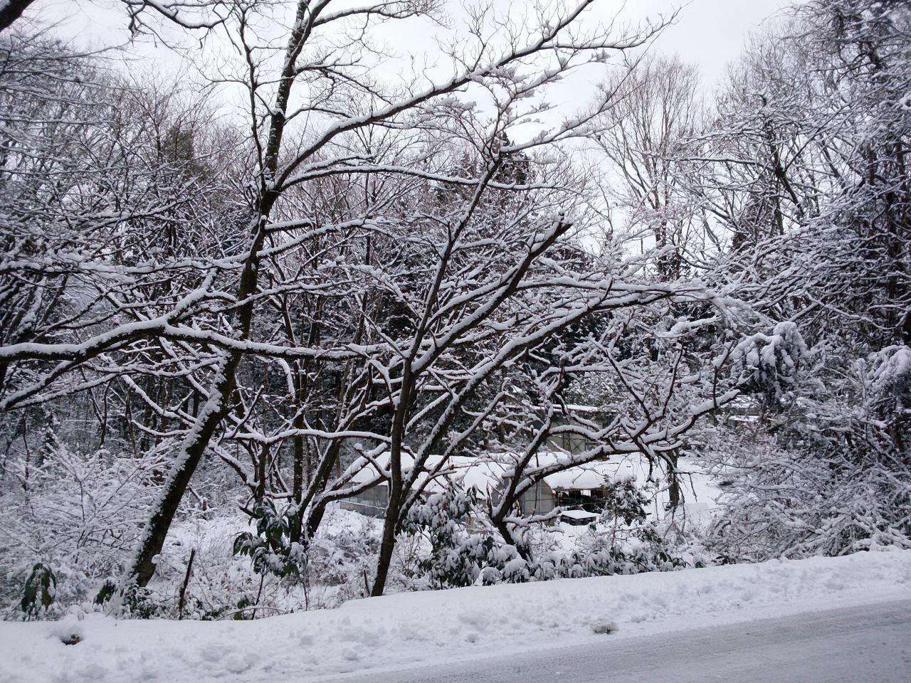 雪降らんやないかーい🤣🤣