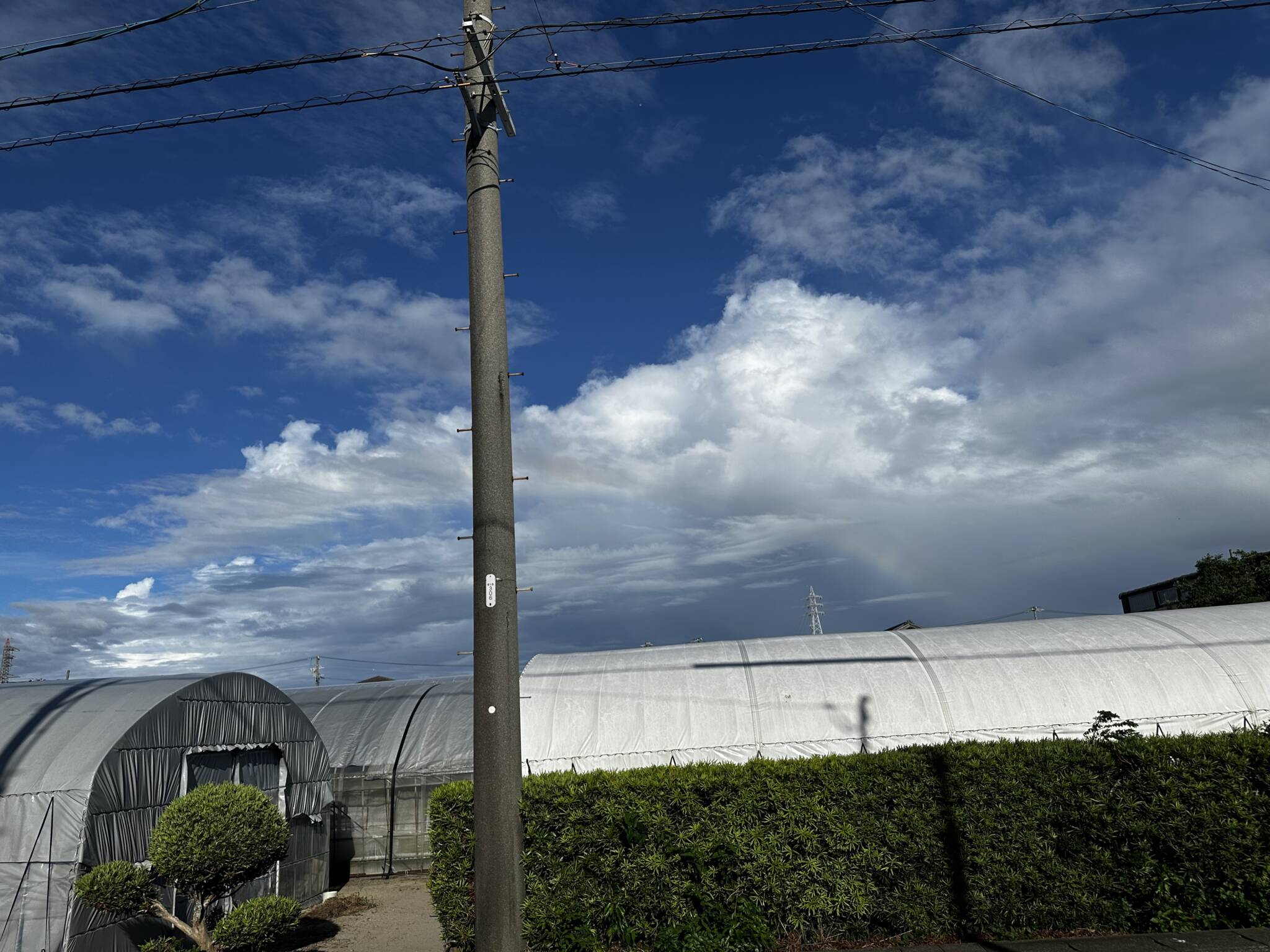 雨も降っていないのに虹が出ていた！の豆知識🙋‍♀️